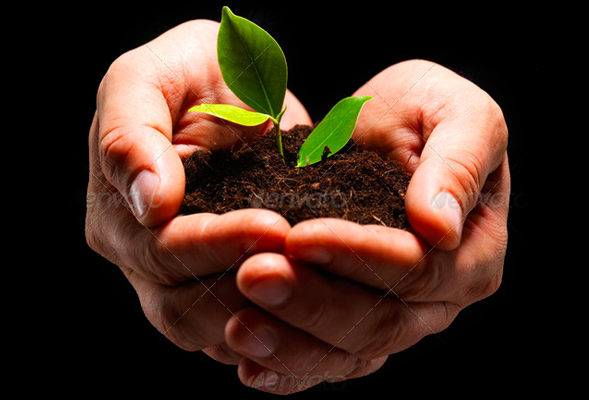 手机号接收平台